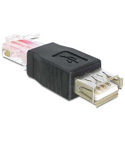 DELOCK Αντάπτορας από USB 2.0 A female σε RJ45 male