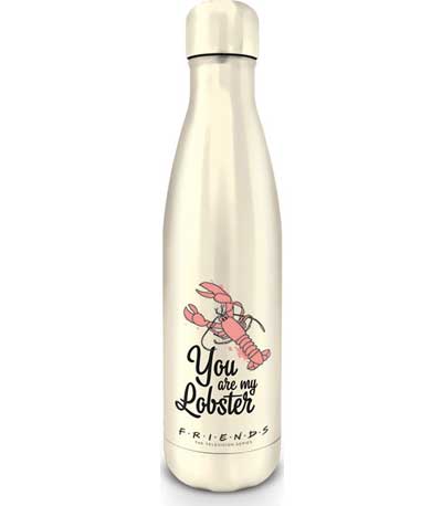 Pyramid Friends - You are my Lobster Metal Drink Bottle (MDB25499)