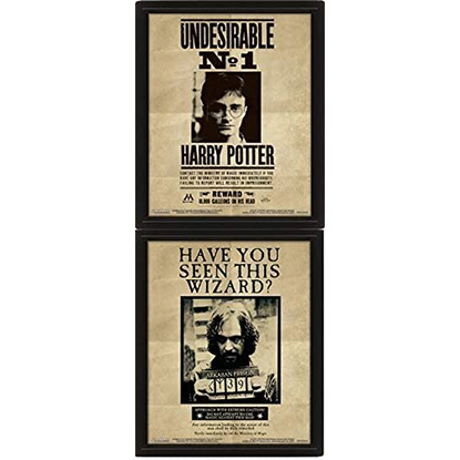 Pyramid Τρισδιαστατο Καδρο HARRY POTTER - 3D 26X20 - Potter / Sirius