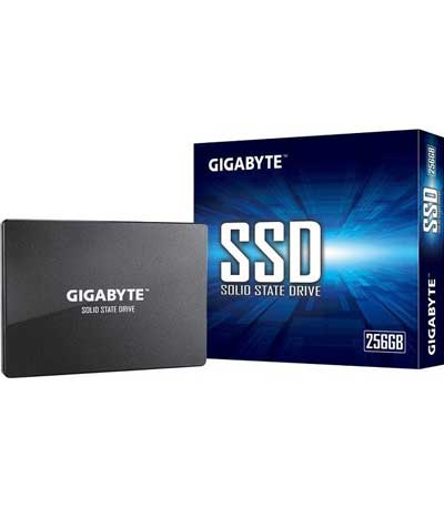 Δίσκος SSD Gigabyte - 256GB (GP-GSTFS31256GTND)