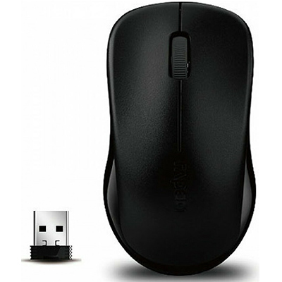 Rapoo 1620 2.4 GHz Wireless Optical Mouse, (Black)