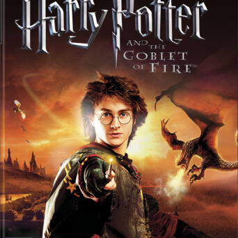 Harry Potter and the Goblet of Fire PS2 USED