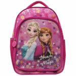 Disney Τσάντα Δημοτικού Frozen 42x31x18cm (TG-50-2244)