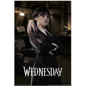 Grupo Erik Wednesday - Thing & Wednesday - Poster 61 x 91cm (GPE5749)
