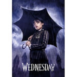 Pyramid Αφίσα WEDNESDAY - Downpour - Poster 61x91cm (PP35274)