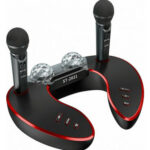 Σύστημα Karaoke με Ασύρματα Μικρόφωνα ST-2021 σε Μαύρο Χρώμα