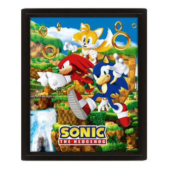 Pyramid Αφίσα SONIC - Catching Rings - 3D Lenticular Poster 26x20cm (EPPL71538)